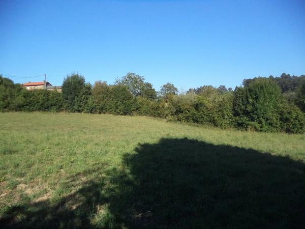 Terreno en Abegondo