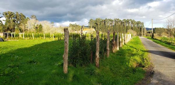 Terreno en Lugar Casal