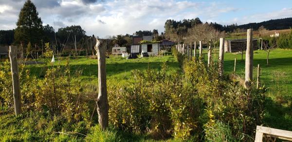 Terreno en Lugar Casal