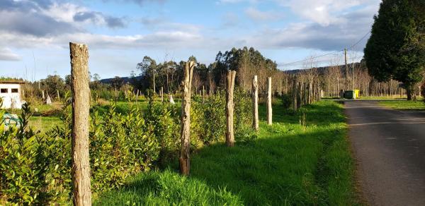 Terreno en Lugar Casal