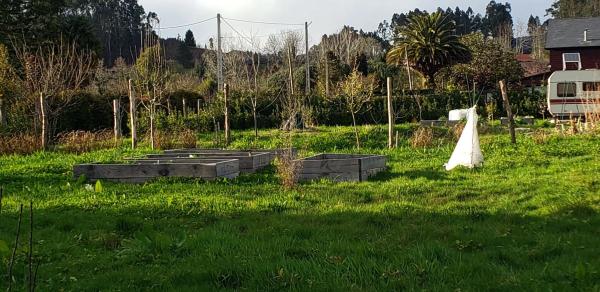 Terreno en Lugar Casal