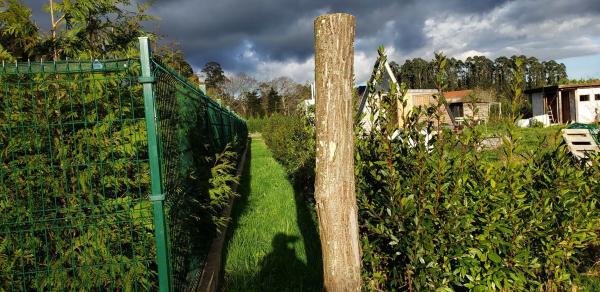 Terreno en Lugar Casal