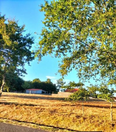 Terreno en a Polveira Parcela, 3