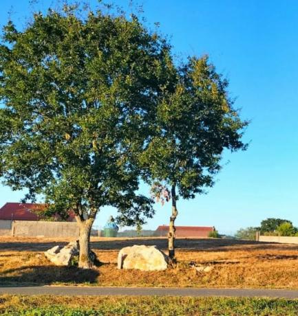 Terreno en a Polveira Parcela, 3