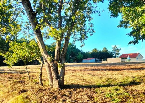 Terreno en a Polveira Parcela, 3