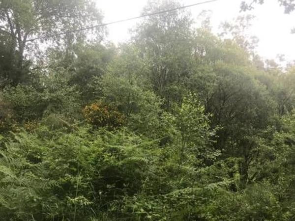 Terreno en camino Sen Nome