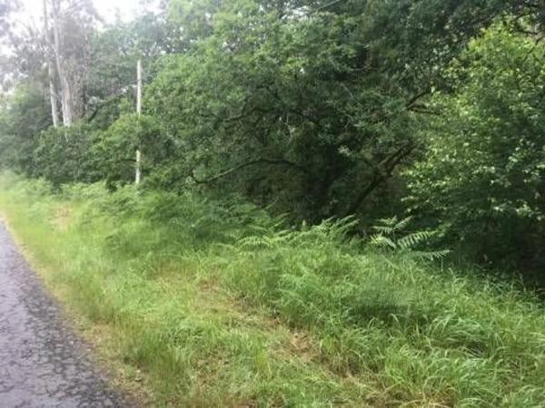 Terreno en camino Sen Nome