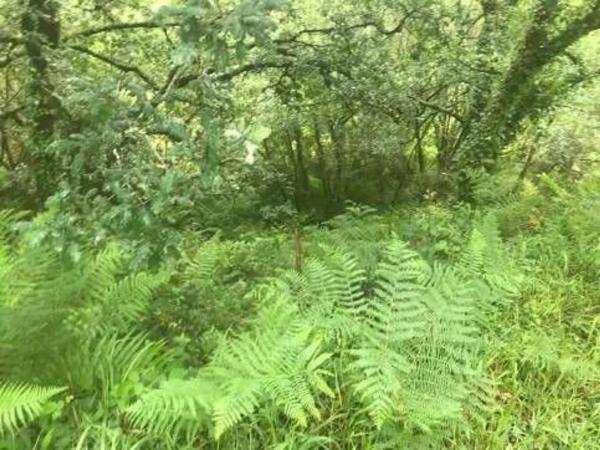 Terreno en camino Sen Nome