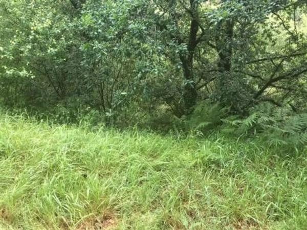 Terreno en camino Sen Nome