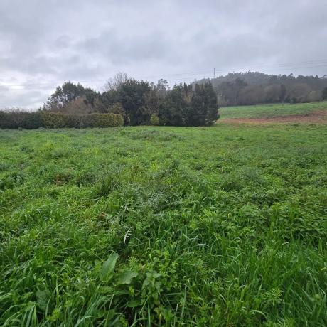 Terreno en o Corgo de Abaixo