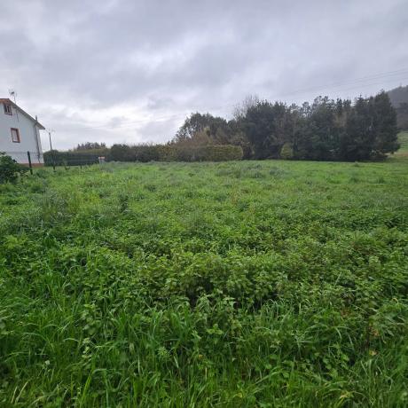 Terreno en o Corgo de Abaixo