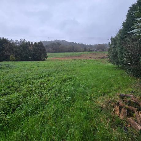 Terreno en o Corgo de Abaixo