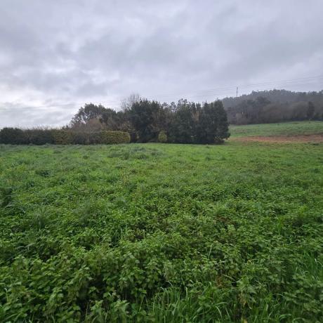 Terreno en o Corgo de Abaixo