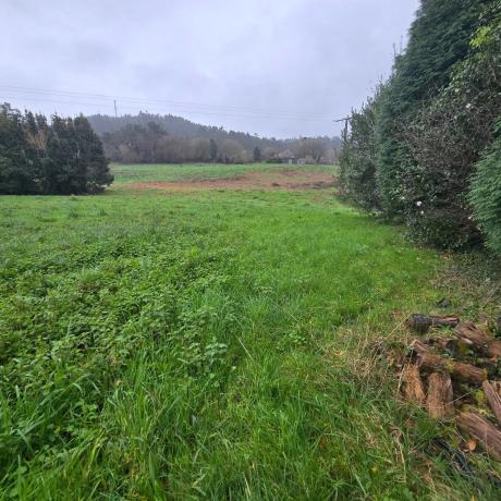 Terreno en o Corgo de Abaixo