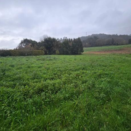 Terreno en o Corgo de Abaixo