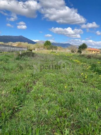 Terreno en calle Cinco Calles