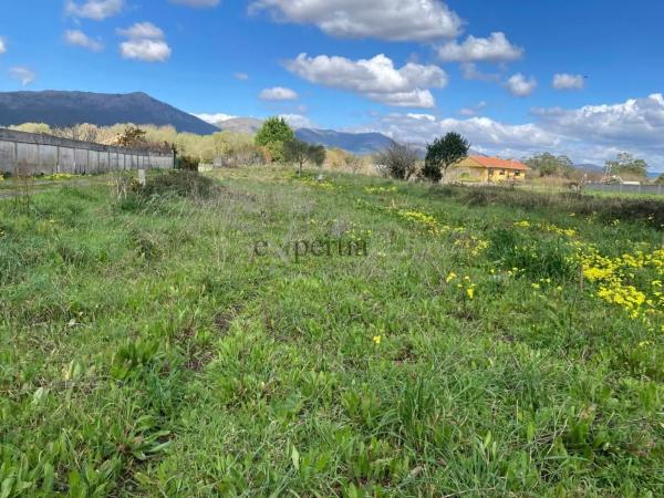 Terreno en calle Cinco Calles