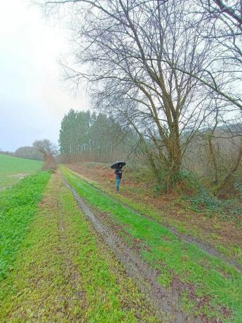 Terreno en Montouto s/n