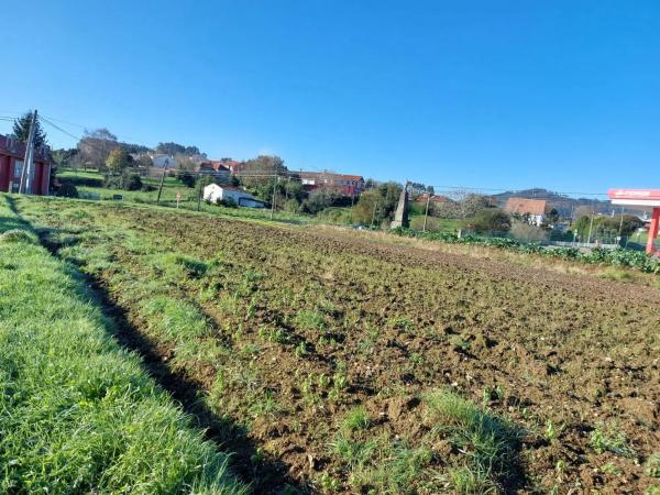 Terreno en San Mateo-Castro-O Val