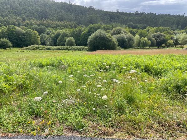 Terreno en Aldea Lamas