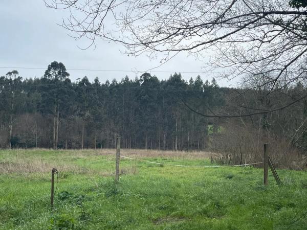 Terreno en Lugar Casaldares, 17