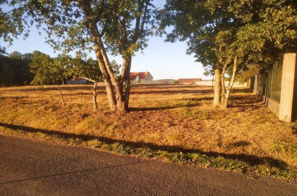 Terreno en a Polveira Parcela, 4