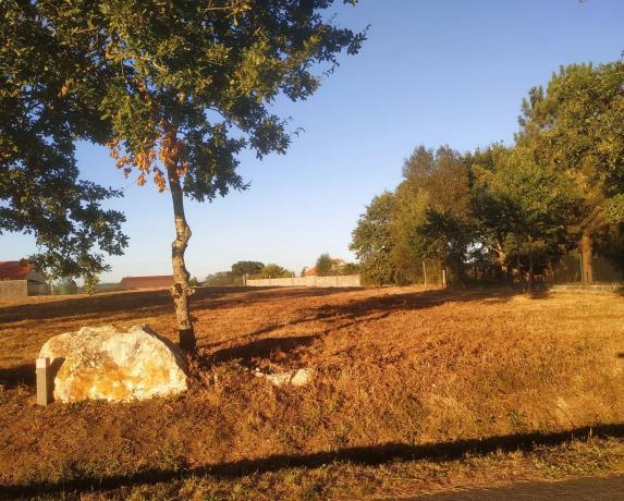 Terreno en a Polveira Parcela, 4