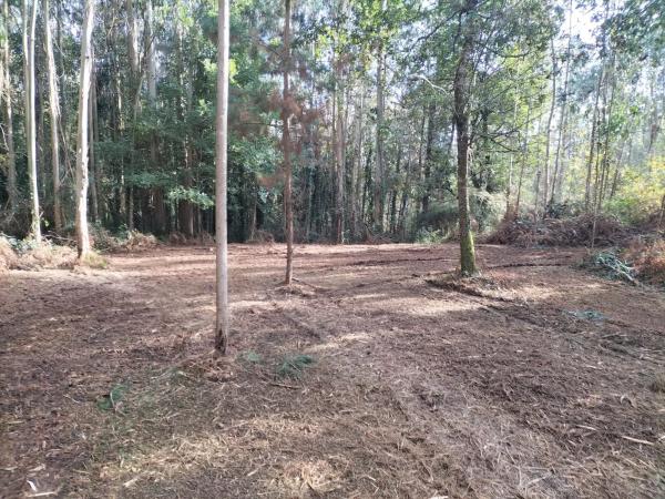 Terreno en calle Covada s/n sn