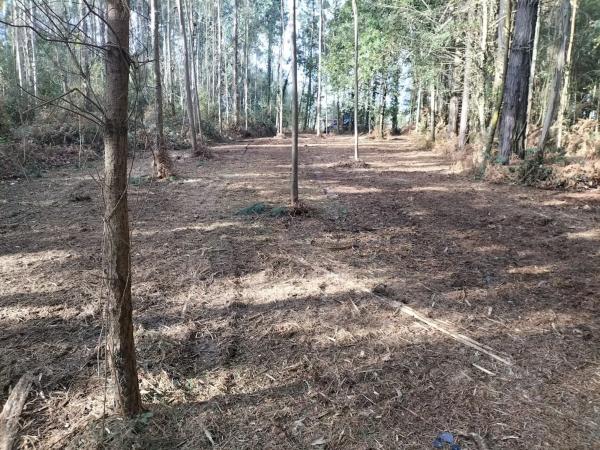 Terreno en calle Covada s/n sn