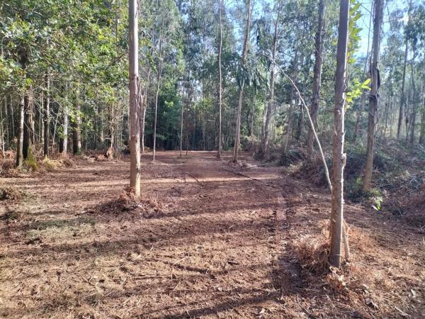 Terreno en calle Covada s/n sn