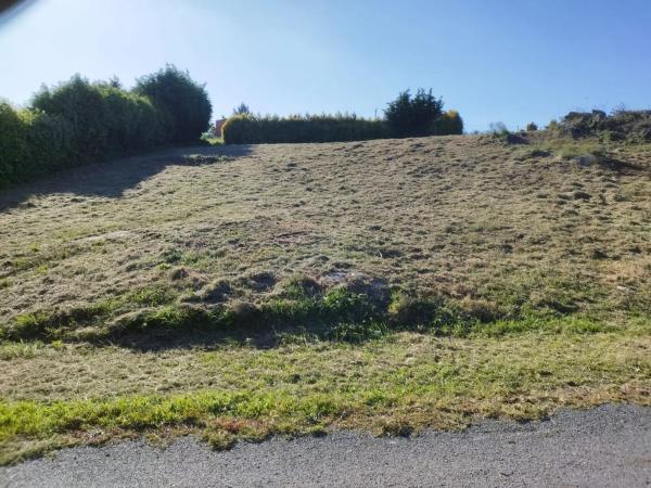 Terreno en calle Golondrina, 15