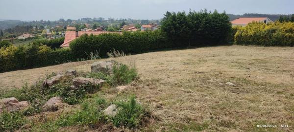 Terreno en calle Golondrina, 15