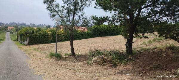 Terreno en calle Golondrina, 15