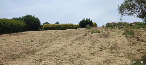 Terreno en calle Golondrina, 15