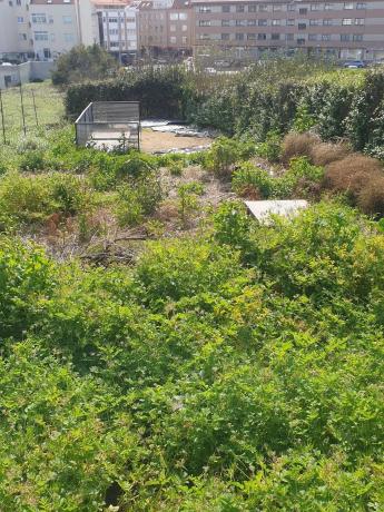 Terreno en calle Pedras s/n