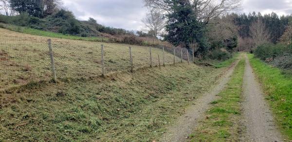 Terreno en Lugar Merille, 15