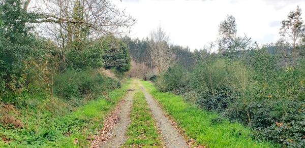 Terreno en Lugar Merille, 15