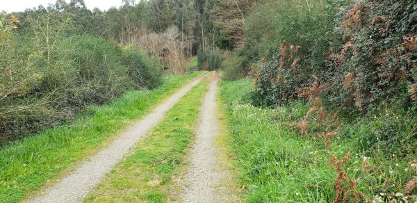 Terreno en Lugar Merille, 15