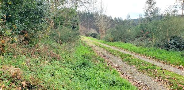 Terreno en Lugar Merille, 15