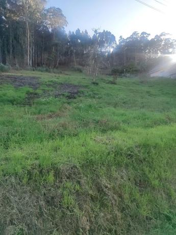 Terreno en calle Tierno Galván