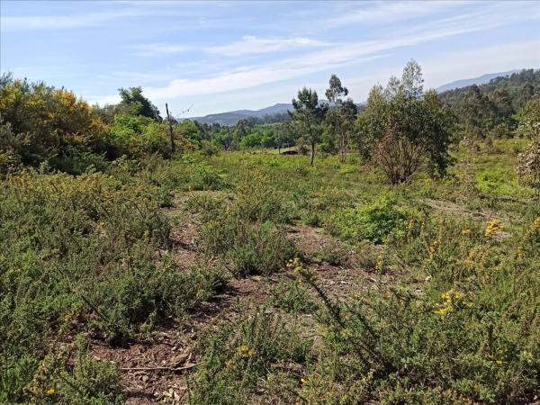 Terreno en avenida Muiño Vello