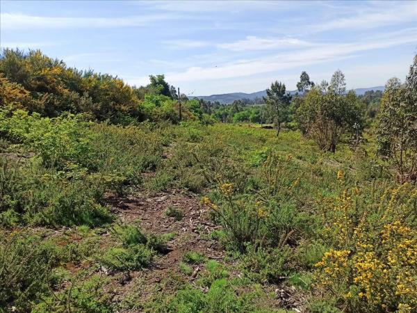Terreno en avenida Muiño Vello