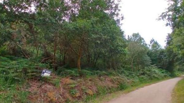 Terreno en camino Coto De Formaris s/n