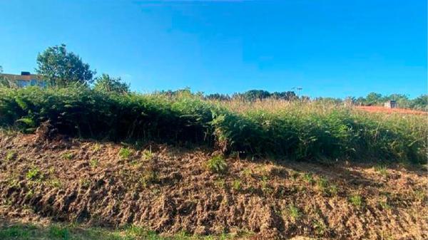 Terreno en Coirón s/n