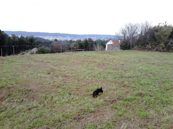 Terreno en Casal s/n Sn