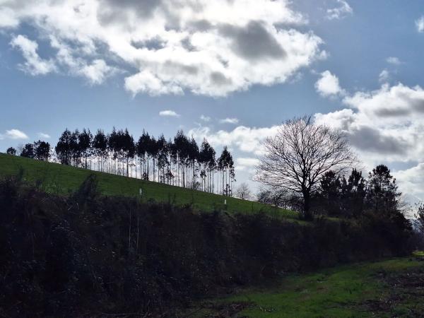 Terreno en calle do Peregrino, 42