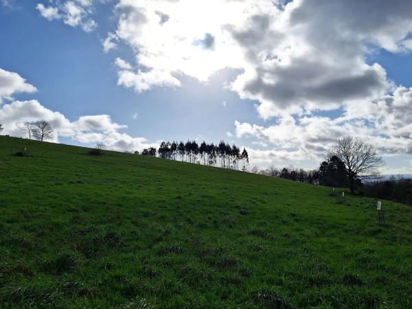 Terreno en calle do Peregrino, 42