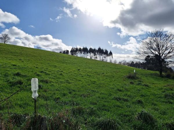 Terreno en calle do Peregrino, 42