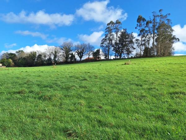 Terreno en calle do Peregrino, 42