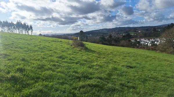 Terreno en calle do Peregrino, 42